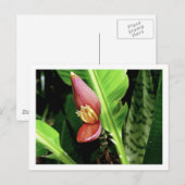 IMG_0432 BRIEFKAART (Voorkant / Achterkant)