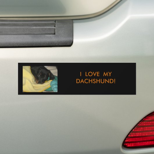 IMG_0456, IK HOU VAN MIJN DACHSHUND! BUMPERSTICKER (Op auto)