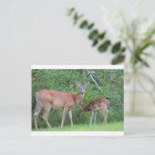 IMG_0494_1 BRIEFKAART (Staand voorkant)