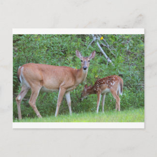 IMG_0494_1 BRIEFKAART