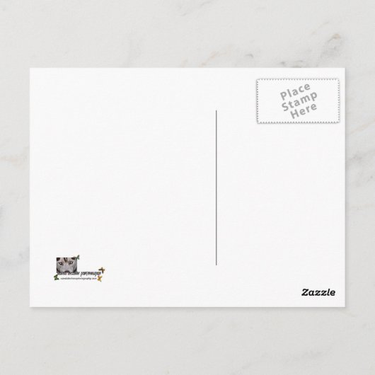 IMG_0530, Telegram!!!!!! Ik stuur je gewoon een sp Briefkaart (Achterkant)