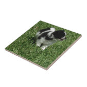 IMG_0545.JPG TEGELTJE (Zijkant)