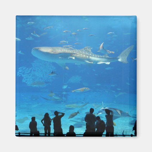 IMG_0598 MAGNEET (Voorkant)