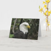 IMG_0673-eagle_5x7 Kaart (Gele Bloem)
