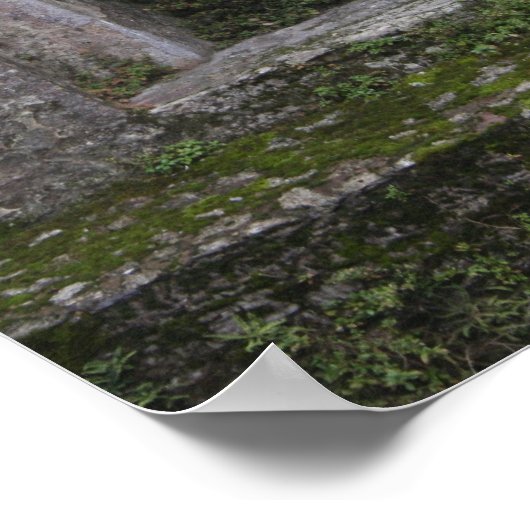 IMG_0730 POSTER (Hoek)