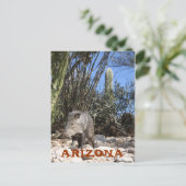 IMG_0830, ARIZONA BRIEFKAART (Staand voorkant)