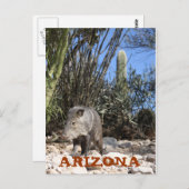 IMG_0830, ARIZONA BRIEFKAART (Voorkant / Achterkant)