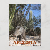 IMG_0830, ARIZONA BRIEFKAART (Voorkant)
