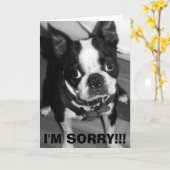 IMG_0932, SORRY!! KAART (Gele Bloem)