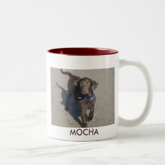 IMG_1078, MOCHA TWEEKLEURIGE KOFFIEMOK