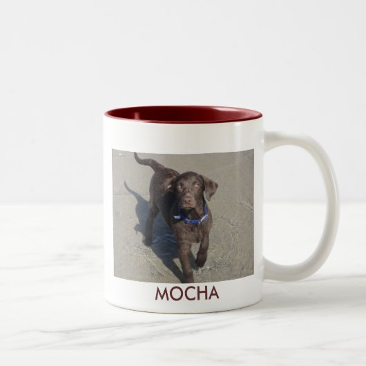 IMG_1078, MOCHA TWEEKLEURIGE KOFFIEMOK (Rechts)