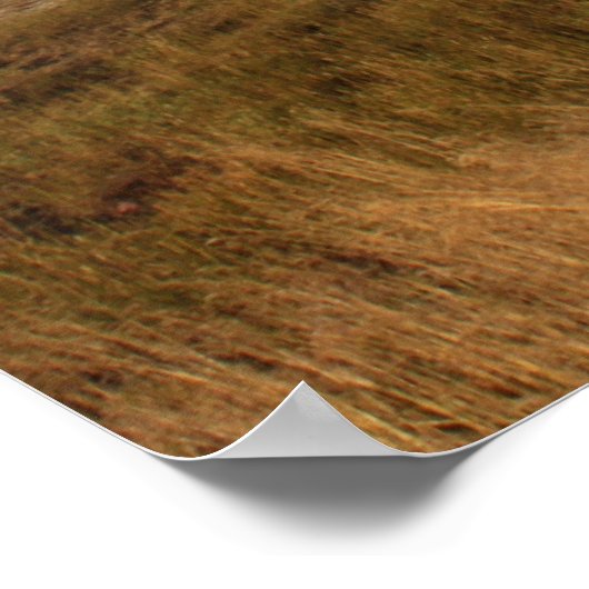 IMG_1081_1 POSTER (Hoek)