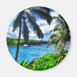 IMG_1122 4 Hawaïaanse Scène Zwart Zandstrand Magneet