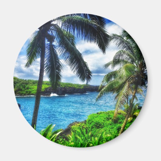 IMG_1122 4 Hawaïaanse Scène Zwart Zandstrand Magneet (Voorkant)