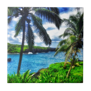 IMG_1122 4 Hawaiian Scene Tegeltje