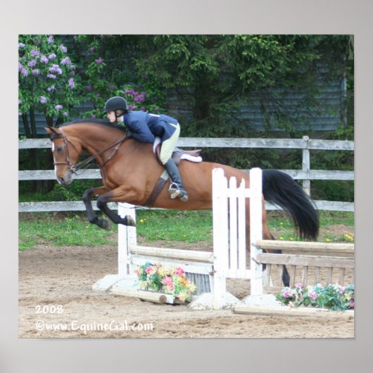 Img-1160 Poster (Voorkant)