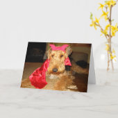 IMG_1191 KAART (Gele Bloem)