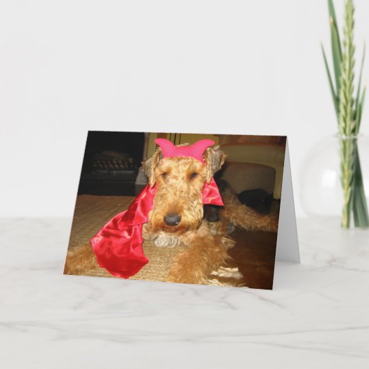 IMG_1191 KAART (Voorkant)