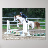 Img-1193 Poster (Voorkant)