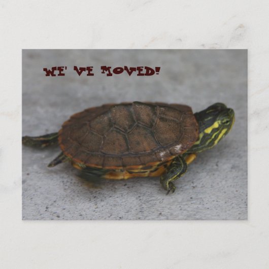 IMG_1195, WE ZIJN VERHUISD! AANKONDIGINGSKAART (Voorkant)