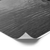 IMG_1204, Foto: Deb Stachoviak Poster (Hoek)