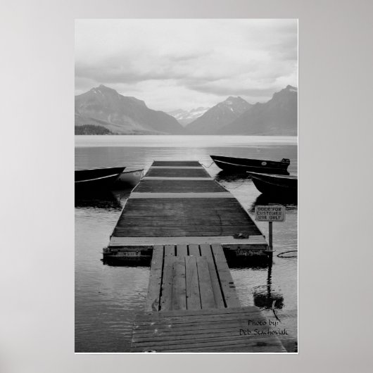 IMG_1204, Foto: Deb Stachoviak Poster (Voorkant)