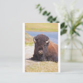 IMG_1227_1 BRIEFKAART (Staand voorkant)