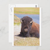 IMG_1227_1 BRIEFKAART (Voorkant / Achterkant)