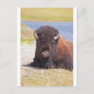 IMG_1227_1 BRIEFKAART