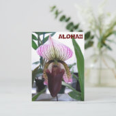 IMG_1248, ALOHA!  Briefkaart (Staand voorkant)