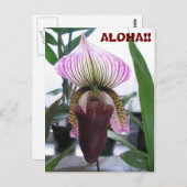 IMG_1248, ALOHA!  Briefkaart (Voorkant / Achterkant)