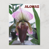 IMG_1248, ALOHA! Briefkaart (Voorkant)