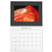 IMG_1311, 2008 CALENDER KALENDER (Feb 2027)