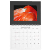 IMG_1311, 2008 CALENDER KALENDER (Feb 2026)