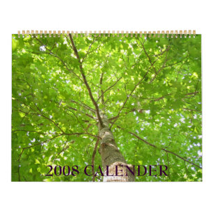 IMG_1311, DE KALENDER VAN 2008