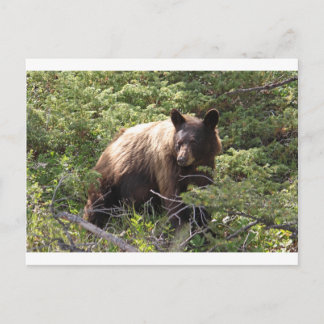 IMG_1319_1 BRIEFKAART