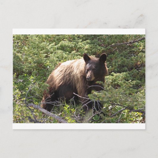 IMG_1319_1 BRIEFKAART (Voorkant)