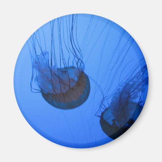 IMG_1319 MAGNEET (Voorkant)