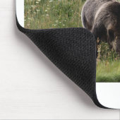 IMG_1328_1 MUISMAT (Hoek)