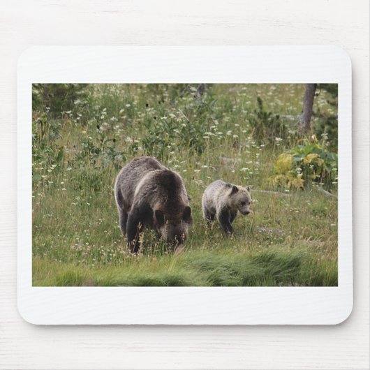 IMG_1328_1 MUISMAT (Voorkant)