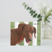 IMG_1331, DOG HET, IK MIST JE! BRIEFKAART (Staand voorkant)