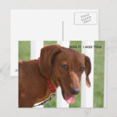 IMG_1331, DOG HET, IK MIST JE! BRIEFKAART (Voorkant / Achterkant)