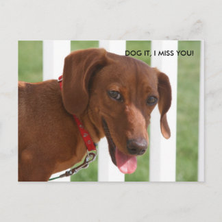 IMG_1331, DOG HET, IK MIST JE! BRIEFKAART