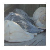 IMG_1498 (3).jpg Tegeltje (Voorkant)