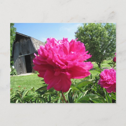 IMG_1506 BRIEFKAART (Voorkant)