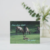 IMG_1652 NARA BRIEFKAART (Staand voorkant)