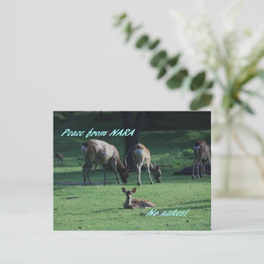 IMG_1652 NARA BRIEFKAART (Staand voorkant)