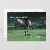 IMG_1652 NARA BRIEFKAART (Voorkant / Achterkant)