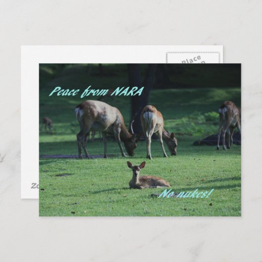 IMG_1652 NARA BRIEFKAART (Voorkant / Achterkant)