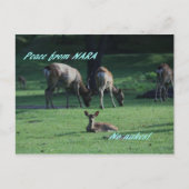 IMG_1652 NARA BRIEFKAART (Voorkant)